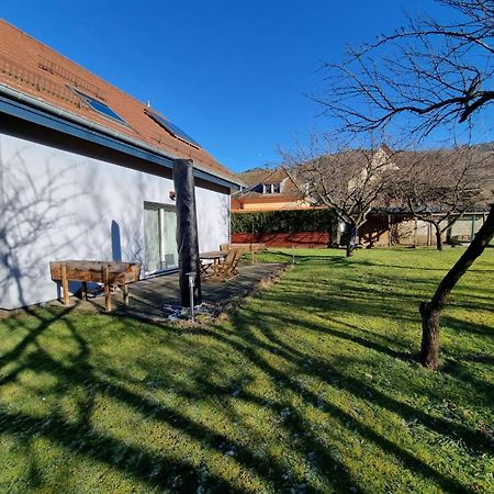 Le Gite De Cleo, Maison Spacieuse Et Paisible. Metzeral Exterior foto