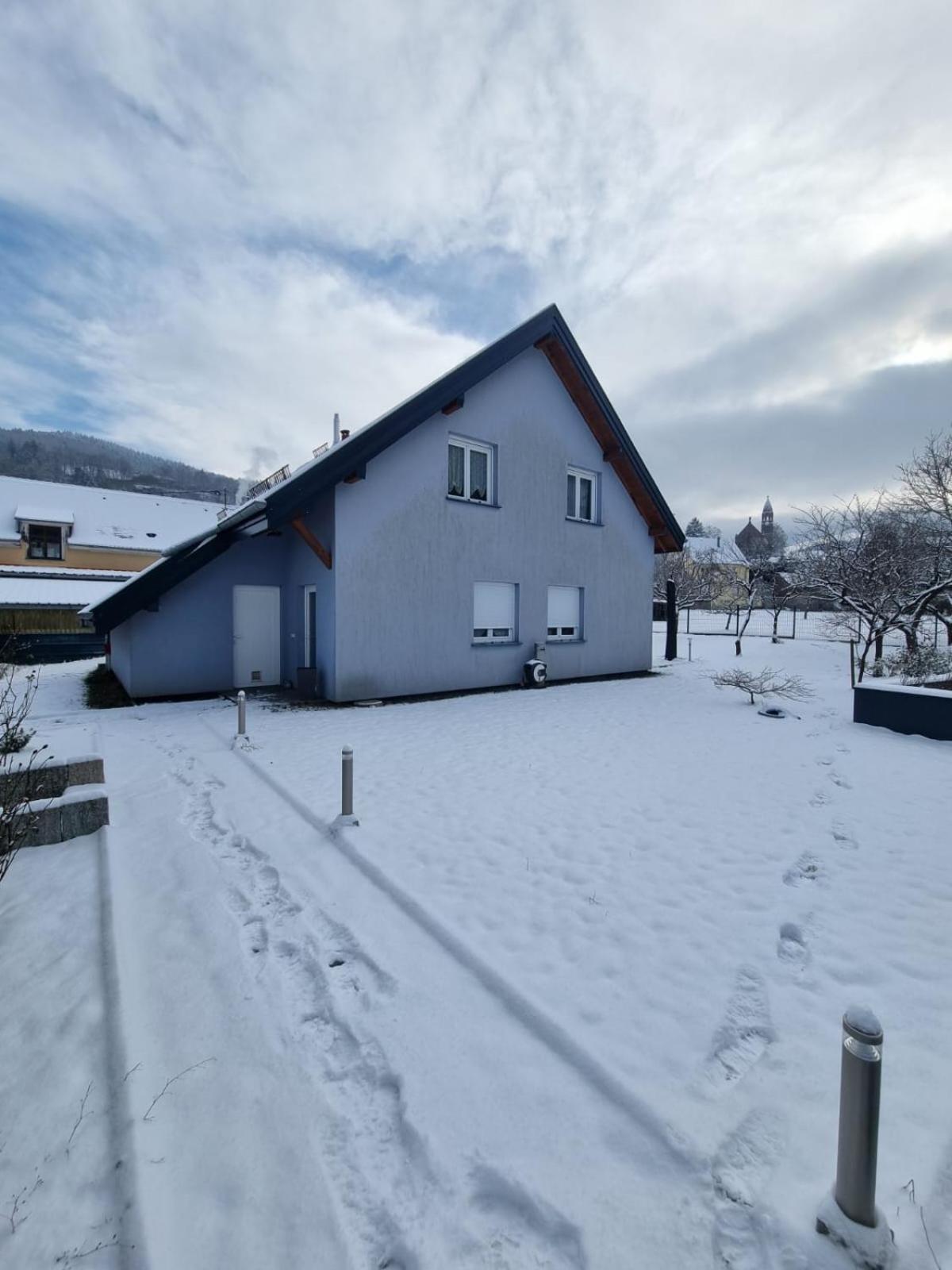 Le Gite De Cleo, Maison Spacieuse Et Paisible. Metzeral Exterior foto